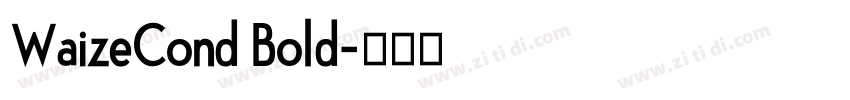 WaizeCond Bold字体转换